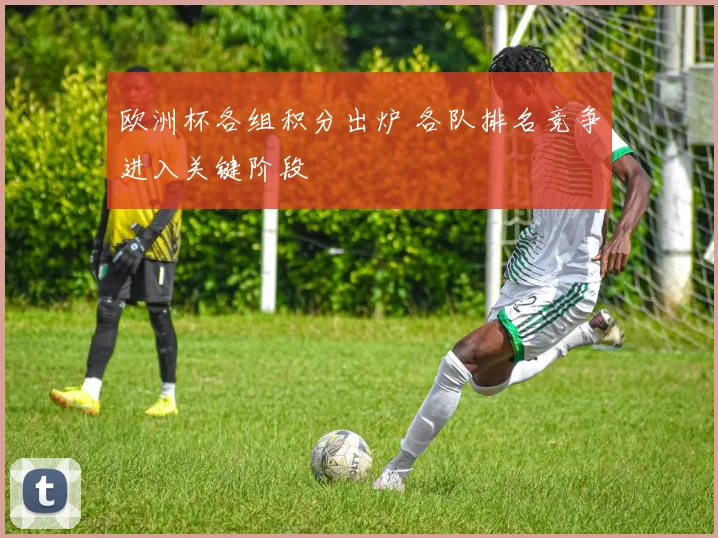 欧洲杯各组积分出炉 各队排名竞争进入关键阶段