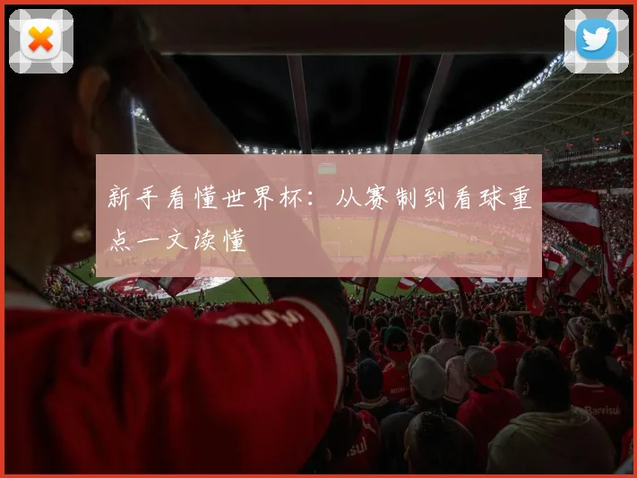 新手看懂世界杯:从赛制到看球重点一文读懂