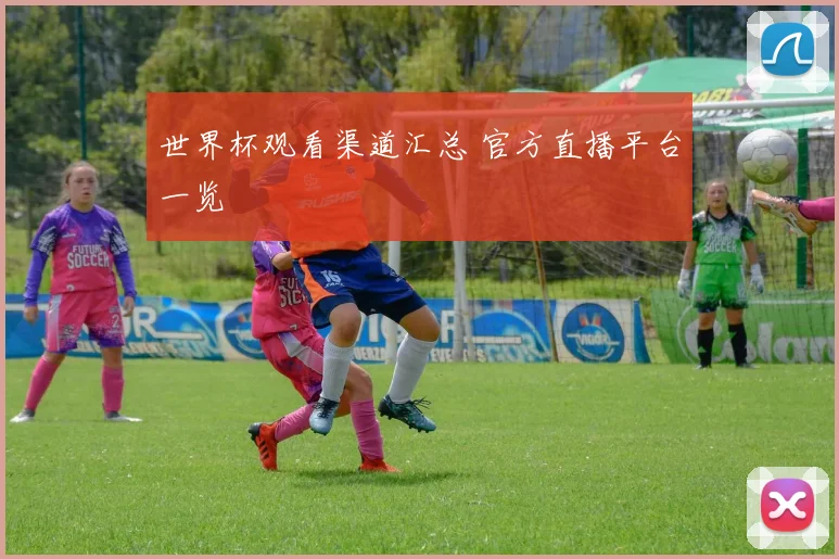 世界杯观看渠道汇总 官方直播平台一览