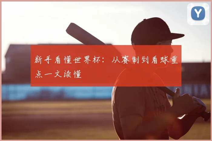 新手看懂世界杯：从赛制到看球重点一文读懂